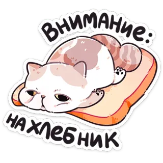 ❤️ Внимание: на хлебник kat, brood, sticker, dier, schattig, grappig, russisch whatsapp sticker