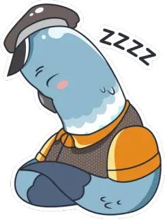 😴 ZZZZZ piccione, dormire, uccello, animale, cartone animato telegram sticker