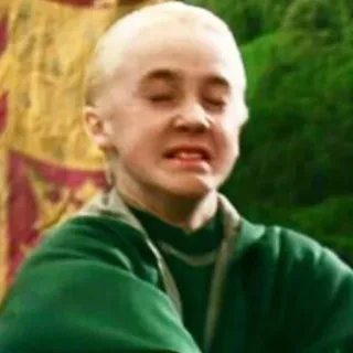 👾 Draco Malfoy Harry Potter Draco Malfoy, Harry Potter, Slytherin, Mago, Magia, Tom Felton telegram sticker