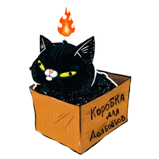 🌝 Коробка для долбоёбов 猫, 盒子, 冒犯, 侮辱, 粗鲁, 俄语 telegram sticker