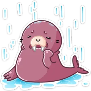☔️ morse, mammifère marin, animal, mignon, dessin animé, autocollant telegram sticker