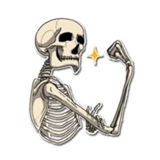💪 scheletro, ossa, forza, muscolo, anatomia telegram sticker
