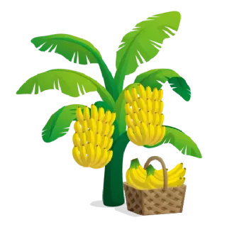 🍌 banaan, fruit, tropisch, plant, eten, boom, mand telegram sticker