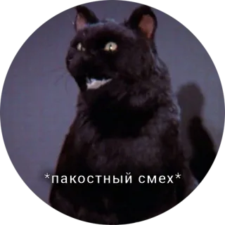 🥴 *пакостный смех* 猫, 黒猫, 笑い, 邪悪, いたずら telegram sticker