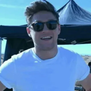 🌿 Niall Horan Niall Horan, cantante, One Direction, celebridad, músico, pop telegram sticker