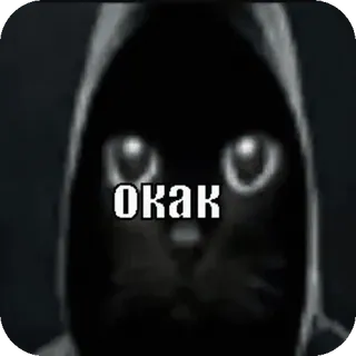😨 окак 猫, 连帽衫, 俄语, 梗, 动物 whatsapp sticker
