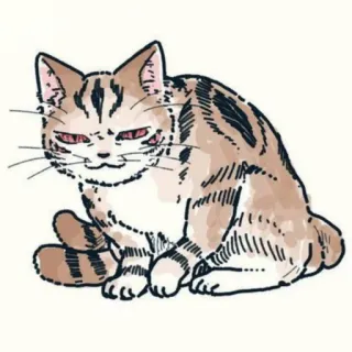 🐈 Katze, Tier, Hauskatze, Haustier, Säugetier, Katzenartig telegram sticker