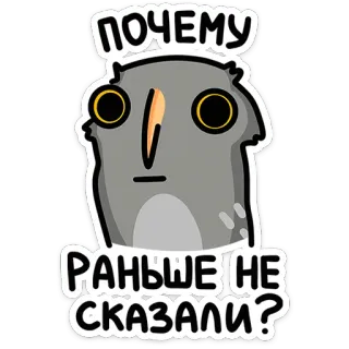 🫤 ПОЧЕМУ РАНЬШЕ НЕ СКАЗАЛИ? cú mèo, hoạt hình, chim, động vật, câu hỏi, nga telegram sticker