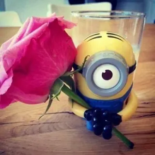 🤩 Minion Despicable Me whatsapp sticker