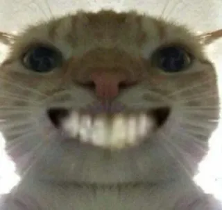 😆 gato, animal, meme, gracioso, dientes, sonrisa whatsapp sticker
