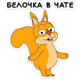 🐿 БЕЛОЧКА В ЧАТЕ squirrel, cartoon, animal, cute, rodent, chat telegram sticker
