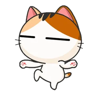 🤷‍♂️ mèo, dễ thương, nhãn dán, hoạt hình telegram sticker