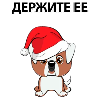 ☹ ДЕРЖИТЕ ЕЕ dog, puppy, santa hat, cute, cartoon, christmas, holiday telegram sticker