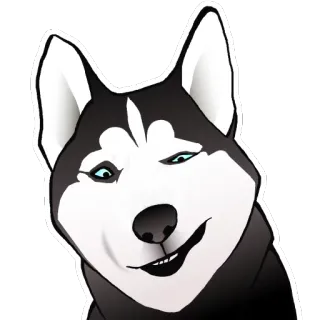 🤔 chó, husky, cười đểu, động vật, hoạt hình telegram sticker