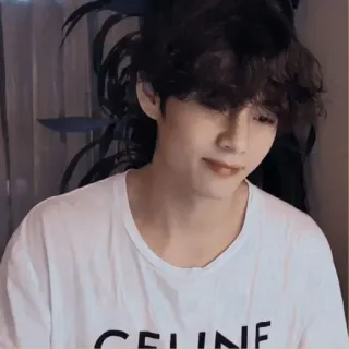 ☁️ CELINE persona, hombre, celebridad, Kpop, ídolo, V, BTS telegram sticker