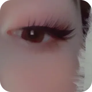 🤲 eye, eyelashes, makeup, beauty, cosmetics, face telegram sticker