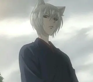 😾 Tomoe Kamisama Kiss Anime, Renard, Oreilles, Manga, Tomoe, Kamisama Kiss telegram sticker