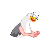 Birds whatsapp stickers