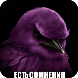 🫥 ЕСТЬ СОМНЕНИЯ bird, purple, doubt, suspicious, skeptical, animal telegram sticker
