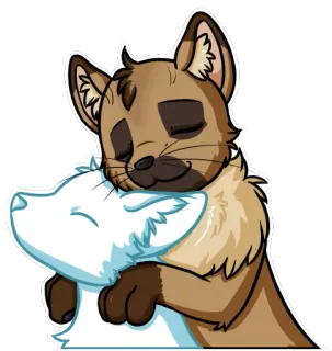 👨 gatto, abbraccio, carino, animale, animale domestico, amicizia, affetto whatsapp sticker