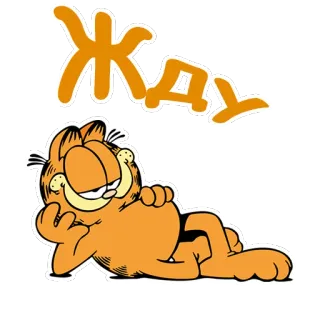 😏 Garfield ЖДУ Garfield, mèo, chờ đợi, màu cam, phim hoạt hình telegram sticker