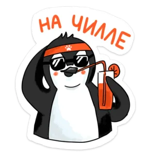 😎 на чилле 펭귄, 휴식, 힐링, 음료, 선글라스, 오렌지 주스 telegram sticker