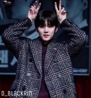 ✨ D_BLACKRIN person, mantel, kariert, kpop, idol, koreanisch, schauspieler, unterhaltung telegram sticker
