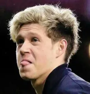 😋 Niall Horan Niall Horan, Cantante, One Direction, Estrella pop, Celebridad telegram sticker