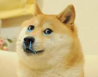 Dogesh whatsapp stickers