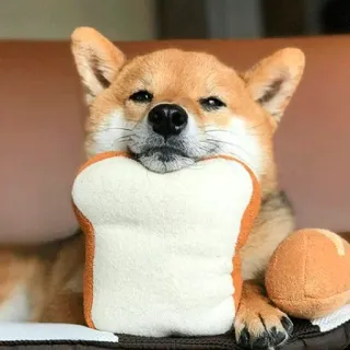 🍞 dog, shiba inu, bread, plush, cute, animal, pet telegram sticker
