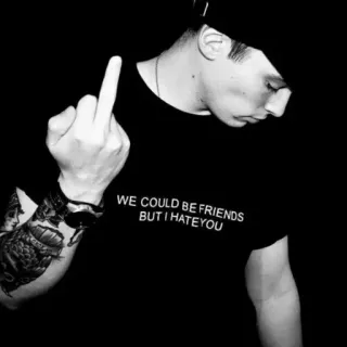 🖕 WE COULD BE FRIENDS BUT I HATE YOU middle finger, offensive, hate, sarcastic, attitude, emo, teen telegram sticker
