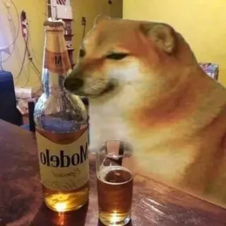🐕 Modelo doge, dog, beer, modelo, alcohol, meme telegram sticker