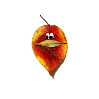 🍁 feuille, automne, nature, yeux globuleux, drôle whatsapp sticker