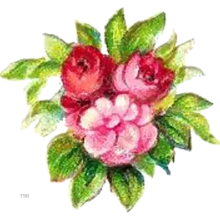 🌸 flor, floral, buquê, rosas, vermelho, rosa, folhas, natureza telegram sticker