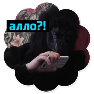Паша Техник (@savelifeua) telegram stickers