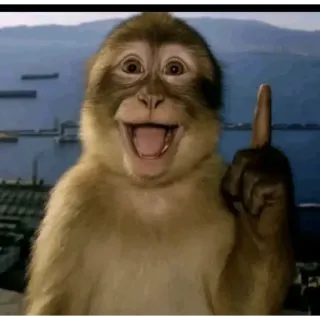 ☝ monkey, primate, animal, pointing, finger, gesture, happy, meme telegram sticker