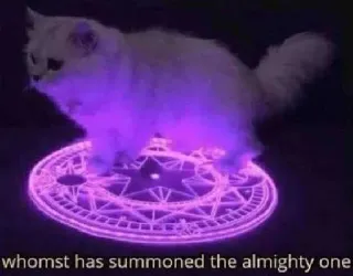 😏 whomst has summoned the almighty one แมว, อัญเชิญ, เวทมนตร์, มีม, ตลก, แท่นบูชา telegram sticker