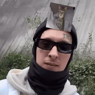 😹 สารคดี persona, occhiali da sole, streetwear, tatuaggio, gatto telegram sticker