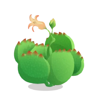 ☘ cactus, plant, bloem, vetplant, groen, natuur telegram sticker