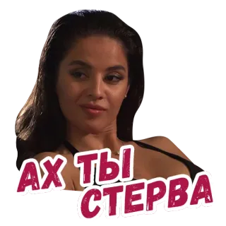Холостяк @holostyaktnt whatsapp stickers