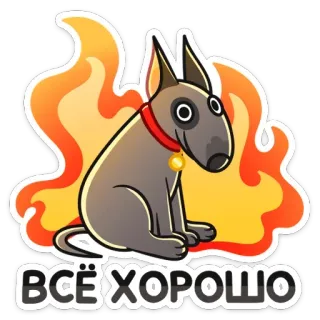 🔥 ВСЁ ХОРОШО собака, мультфильм, огонь, русский, хорошо, всё, ок whatsapp sticker