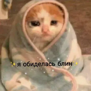 😒 я обиделась блин 猫, 悲しい, 毛布, かわいい, ミーム telegram sticker