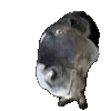 😱