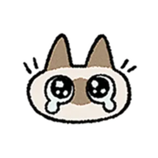 😺 gato, chorando, triste, animal, adesivo telegram sticker