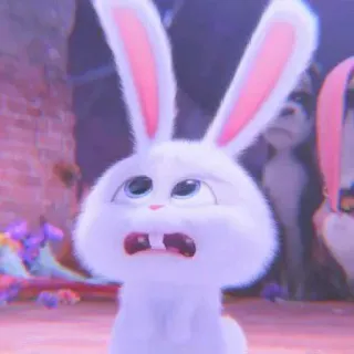 🐰 Snowball The Secret Life of Pets rabbit, bunny, cute, animal, pet, cartoon, fearful whatsapp sticker