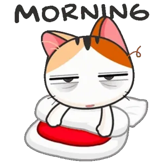🛌 MORNING แมว, เช้า, ง่วง, การ์ตูน, สัตว์ telegram sticker