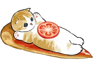 🍕 cat, pizza, tomato, funny, food, animal telegram sticker