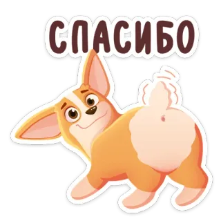 😊 СПАСИБО cachorro, corgi, obrigado, animal, desenho animado whatsapp sticker