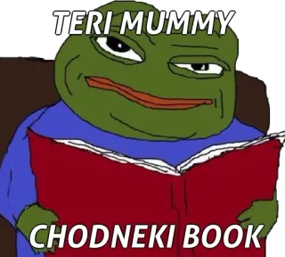 🙂 Pepe the Frog TERI MUMMY CHODNEKI BOOK pepe, frog, meme, reading, book telegram sticker