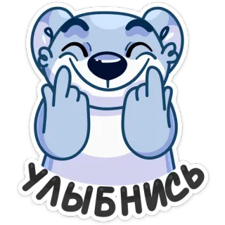 🙂 УЛЫБНИСЬ beruang, kartun, menyinggung, jari tengah, hinaan, gestur whatsapp sticker